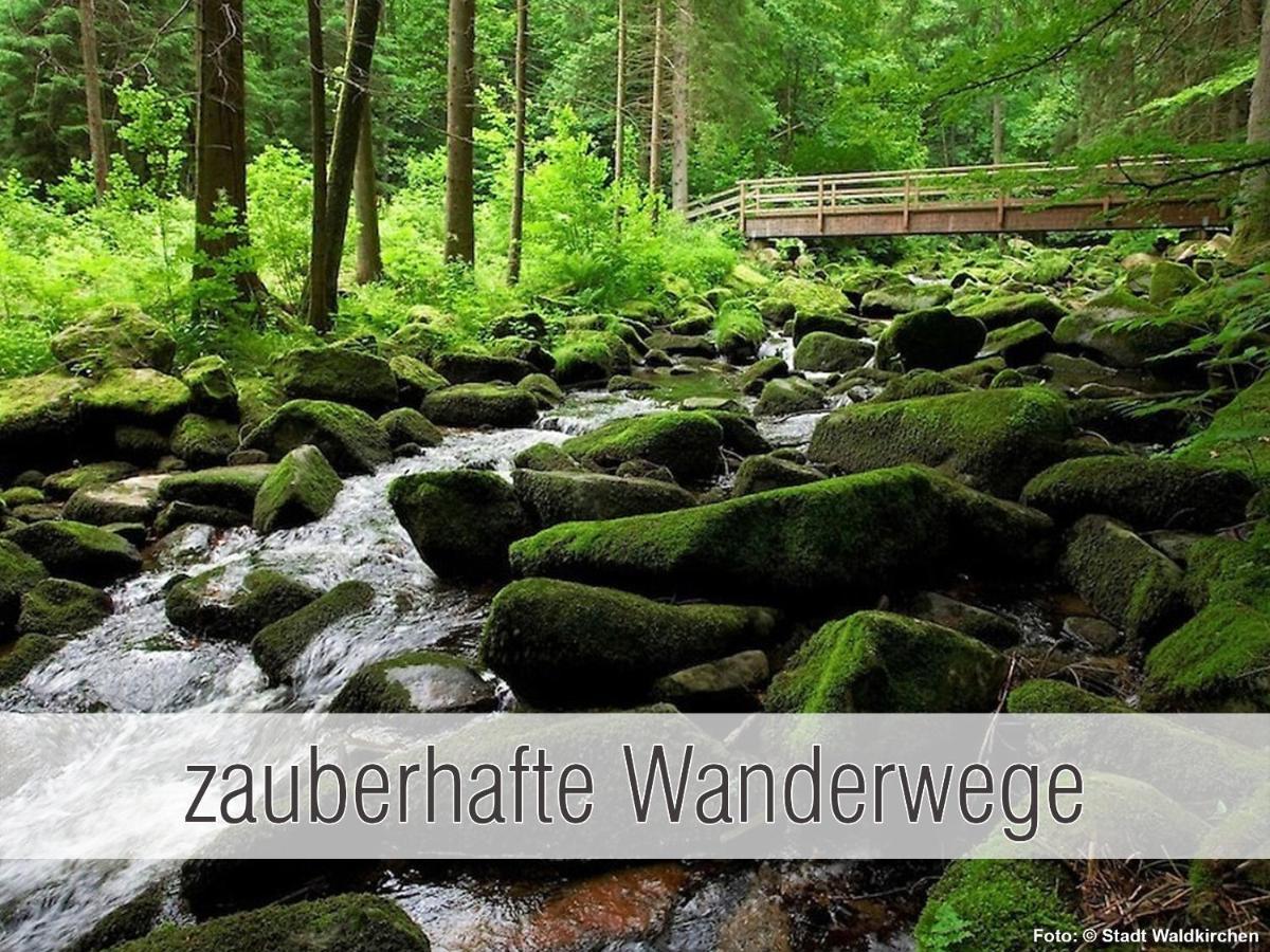Huette41: Ganze Huette Nah Am See Mit Privatem Whirlpool, Sauna. Umzaeunt. วัลด์เคอร์เชิน ภายนอก รูปภาพ