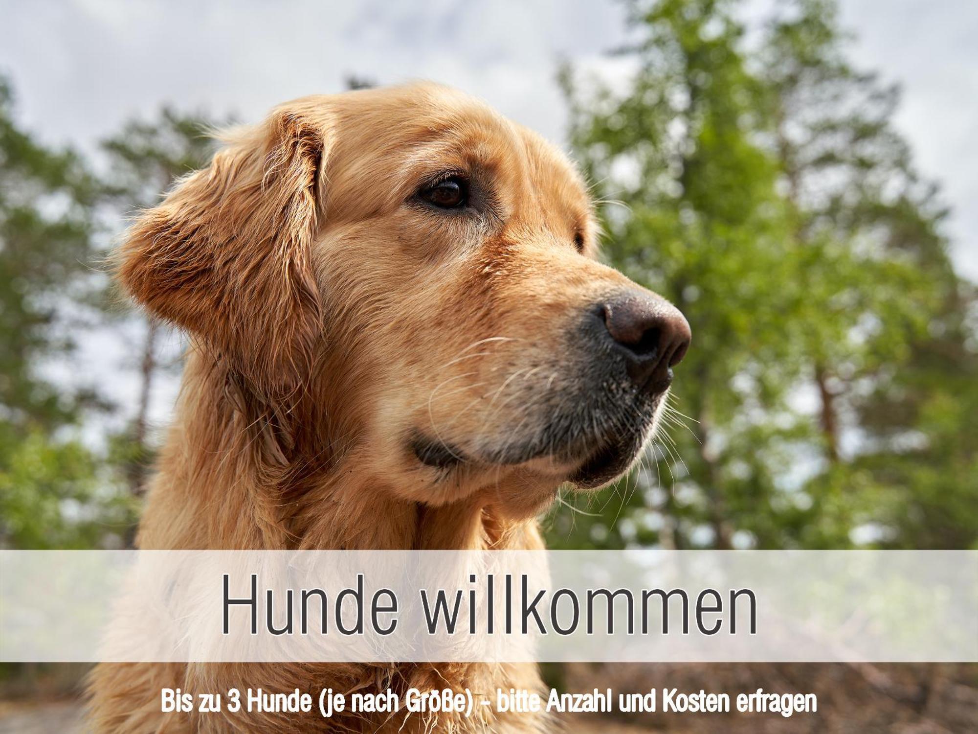 Huette41: Ganze Huette Nah Am See Mit Privatem Whirlpool, Sauna. Umzaeunt. วัลด์เคอร์เชิน ภายนอก รูปภาพ